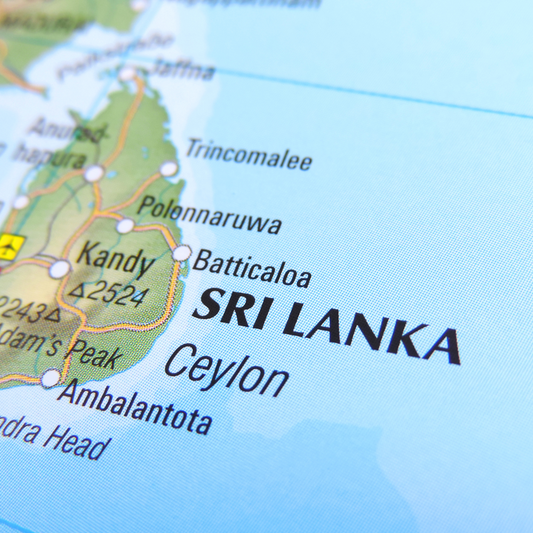 Un paese sul baratro. Il caso dello Sri Lanka