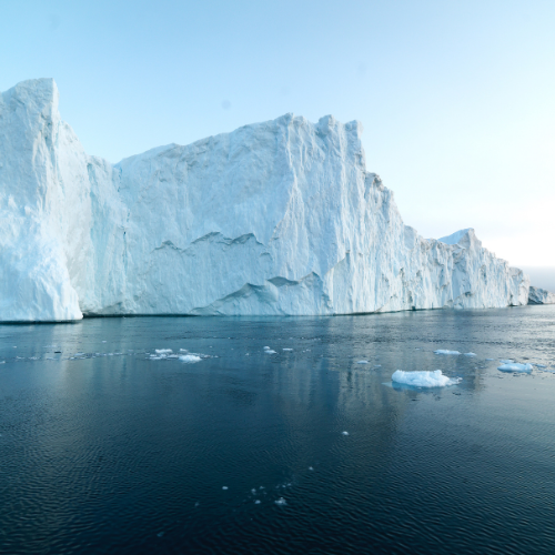 Il cambiamento del clima va più veloce dell'evoluzione