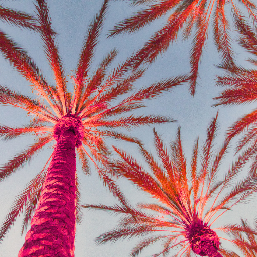 Come la California può salvare la democrazia americana