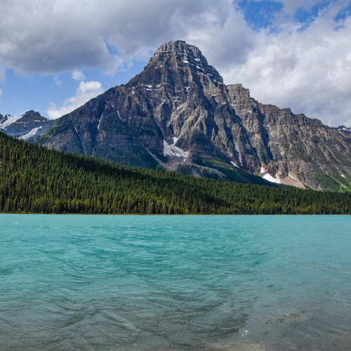 Parchi nazionali: rifugi climatici in un pianeta in crisi