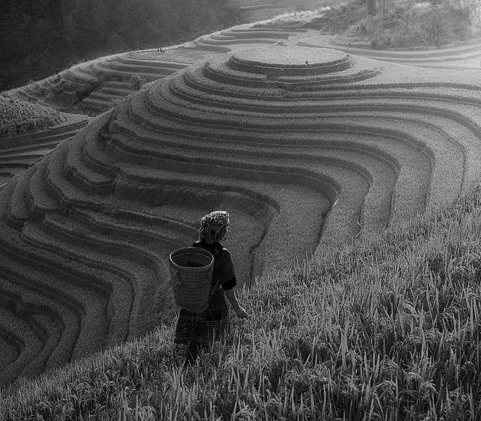 Vietman-Europa. Cosa sta succedendo? Intervista ad Alessia Amighini